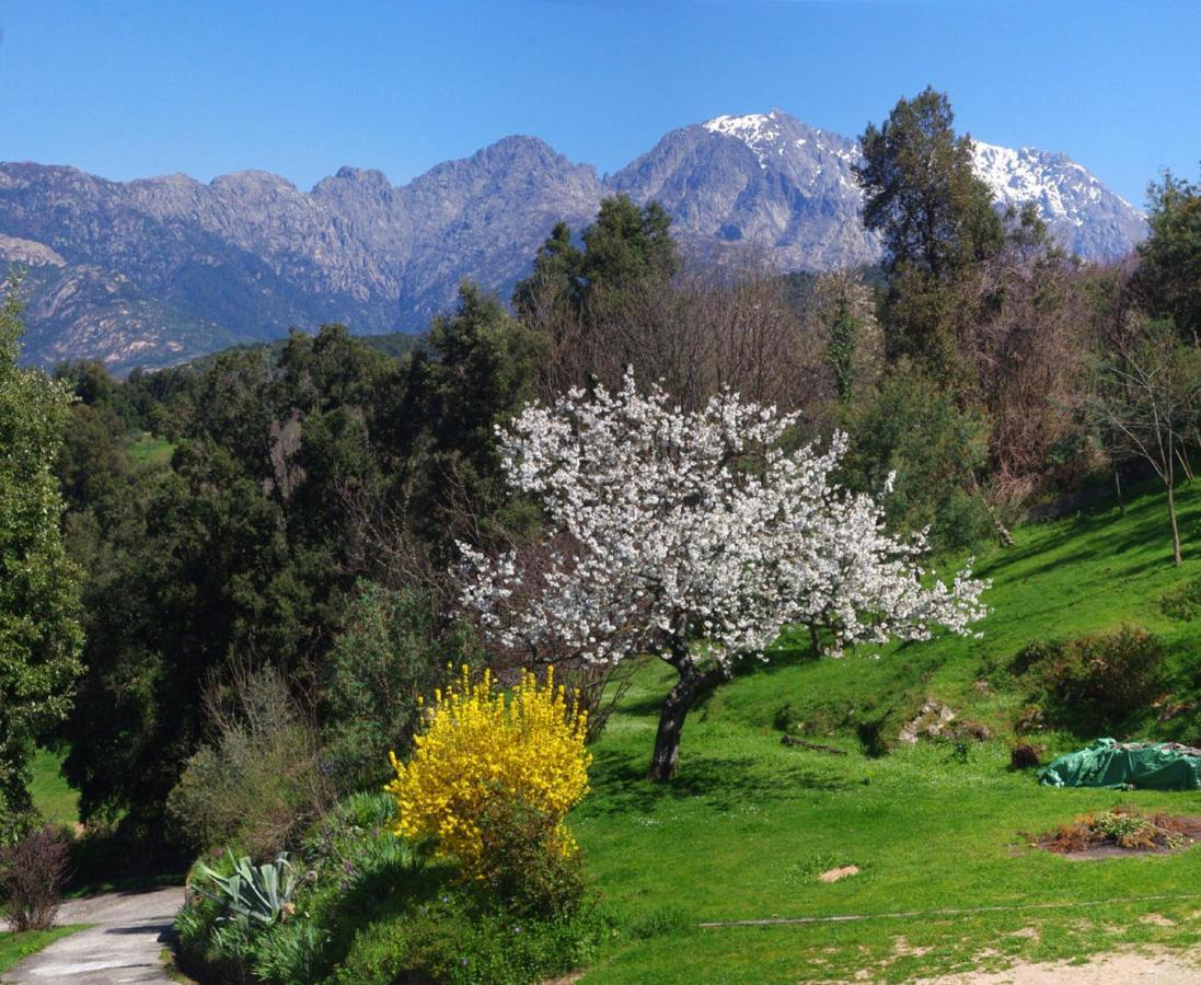 95M2 Au Calme A 25Mn Ajaccio, Plages, Linge Inclus Parking Ok Ucciani ภายนอก รูปภาพ