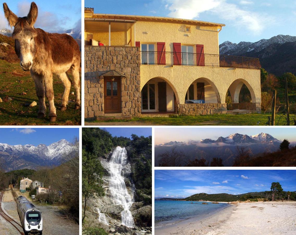 95M2 Au Calme A 25Mn Ajaccio, Plages, Linge Inclus Parking Ok Ucciani ภายนอก รูปภาพ
