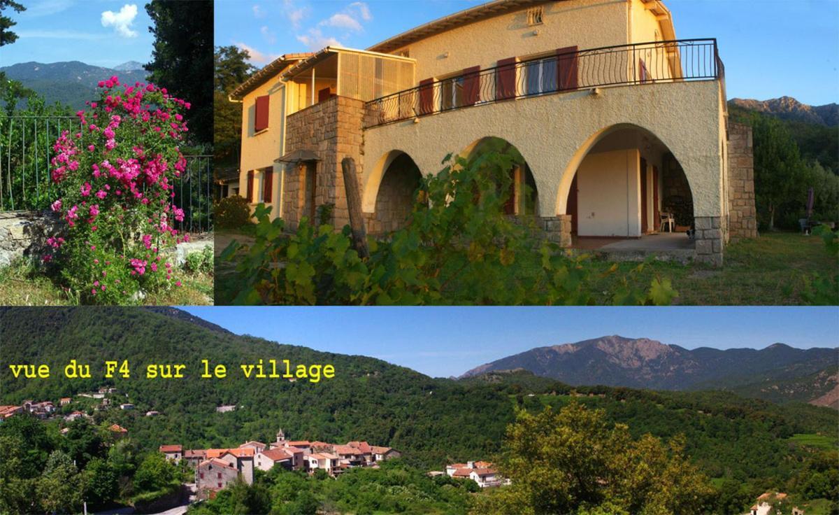 95M2 Au Calme A 25Mn Ajaccio, Plages, Linge Inclus Parking Ok Ucciani ภายนอก รูปภาพ