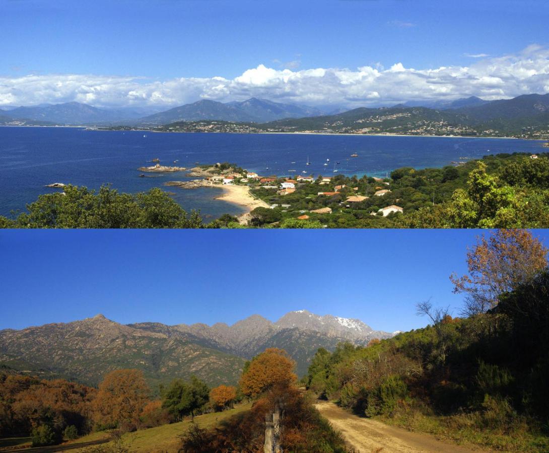 95M2 Au Calme A 25Mn Ajaccio, Plages, Linge Inclus Parking Ok Ucciani ภายนอก รูปภาพ