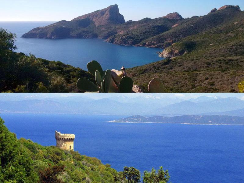 95M2 Au Calme A 25Mn Ajaccio, Plages, Linge Inclus Parking Ok Ucciani ภายนอก รูปภาพ